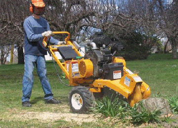 HB20 Stump Grinder